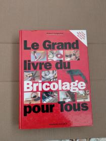 Le Grand livre du Bricolage pour fous(法语)