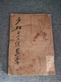 少林正宗练步拳