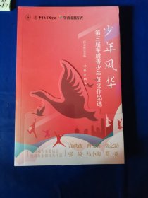 少年风华（第三届茅盾青少年征文作品选，高洪波、曹文轩、张之路等精准点评。）