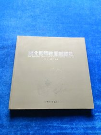 湖北地带性园林植物 张兴 姚崇怀 主编 9787513710770 中国和平出版社