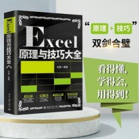 Excel原理与技巧大全