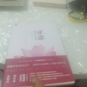 正念：此刻是一枝花，内页干净