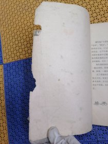 菊花写生资料