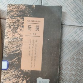 先锋长篇小说丛书：抚摸