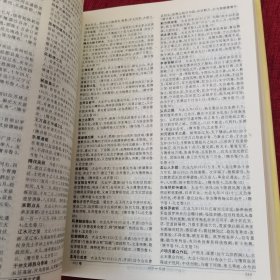 二十六史大辞典 : 全三册