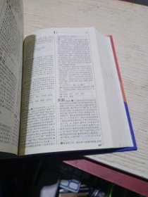 现代汉语用法词典