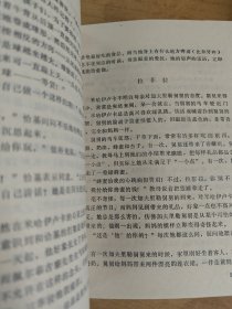 勇敢的米哈伊卢卡 品相好 馆藏书 适合收藏