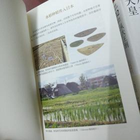 讲谈社，日本的历史：《王权的诞生》《从大王到天皇》《织丰政权与江户幕府》《天下泰平》《维新的构想与开展》5本合售