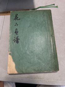 花卉画谱  1973年一版一印