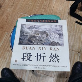 中国当代美术家精品集.段忻然