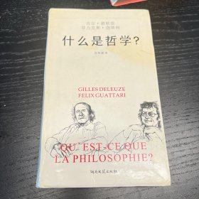 什么是哲学：卡夫卡——为弱势文学而作