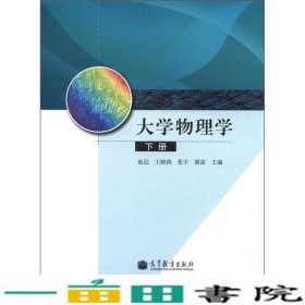 大学物理学.下册