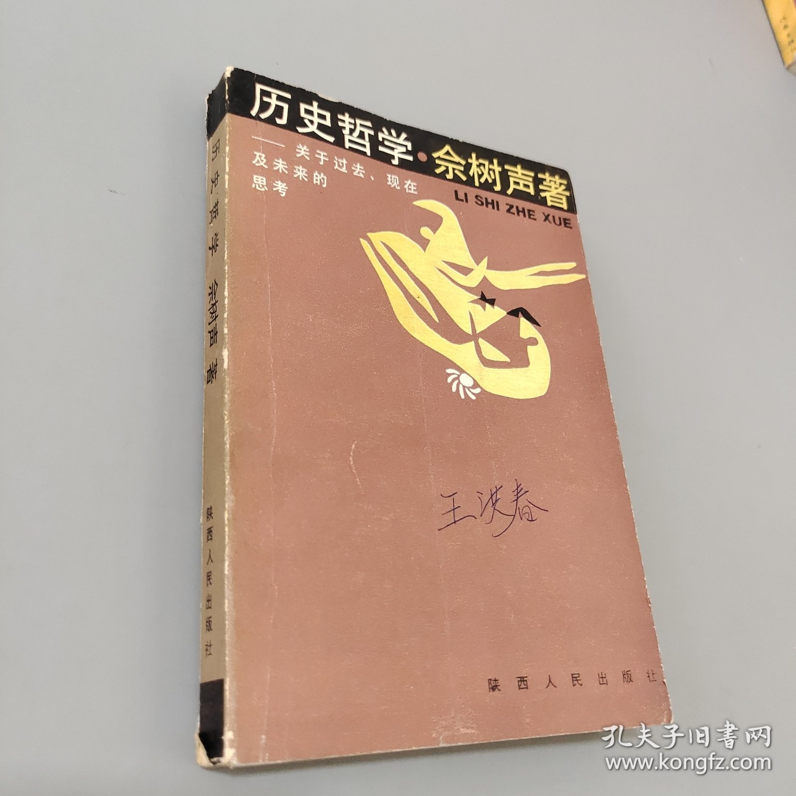 历史哲学:关于过去、现在及未来的思考