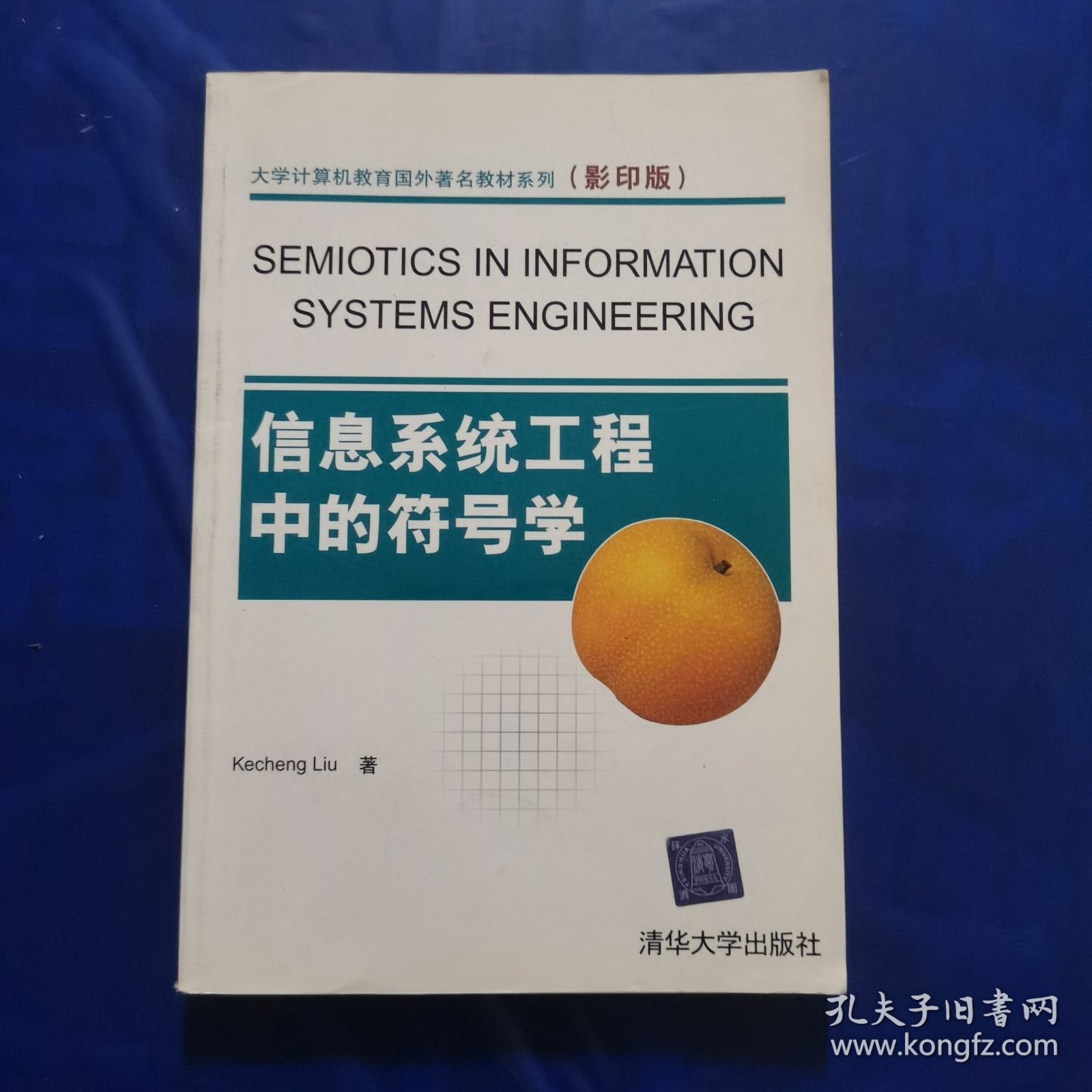 信息系统工程中的符号学（影印版）