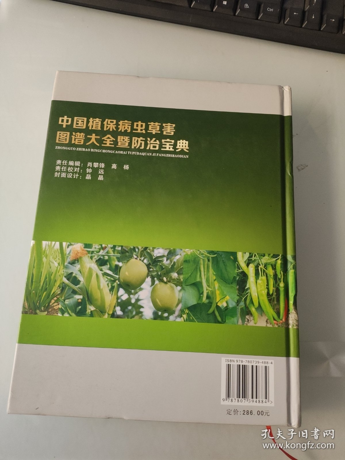 中国植保病虫草害图谱大全暨防治宝典