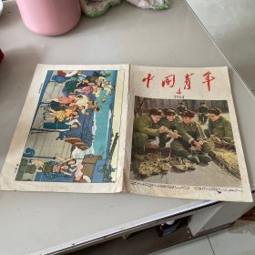 老杂志 中国青年 1964 4 期封面