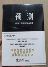 预测经济、周期与市场泡沫洪灏著中信出版社