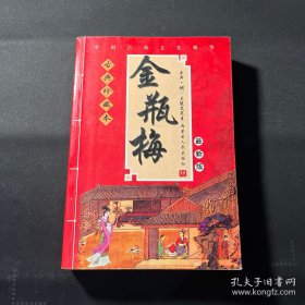 中国古典文化精华：金瓶梅