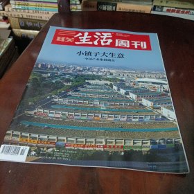 三联生活周刊———小镇子大生意