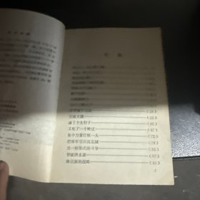 三年靖难战争:燕王朱棣登基始末