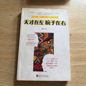 天才在左 疯子在右：国内第一本精神病人访谈手记