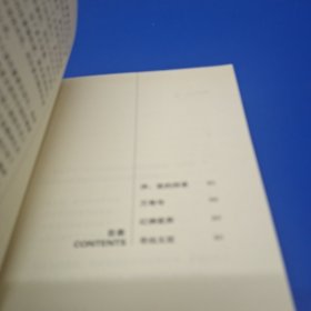 青铜时代：王小波诞辰60周年最受欢迎作品集