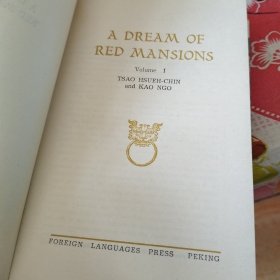 A DREAM OF RED MANSIONS（两本）