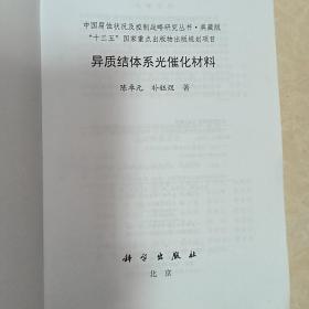 中国腐蚀状况及控制战略研究丛书：异质结体系光催化材料