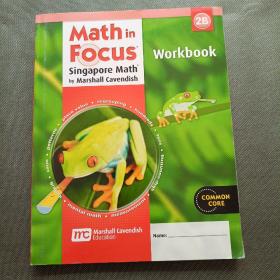 Math in Focus:  Workbook 2B