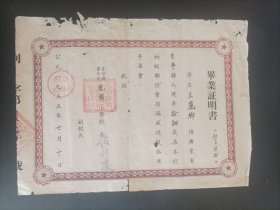 1955年广东省普宁县陇头小学毕业证明书