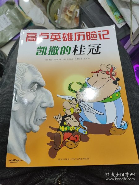 凯撒的桂冠：高卢英雄历险记18