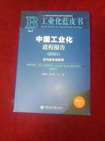 工业化蓝皮书：中国工业化进程报告（2021）