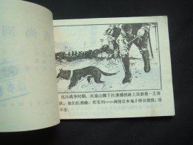 突袭尚河桥