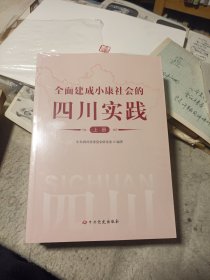 全面建成小康社会的四川实践（上下册）