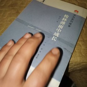 枪林弹雨中成长（修订1版）