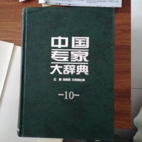 中国专家大辞典10