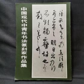 中国现代中青年书法纂刻家作品集