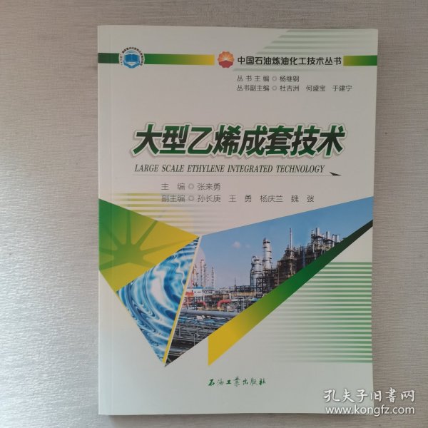 大型乙烯成套技术/中国石油炼油化工技术丛书