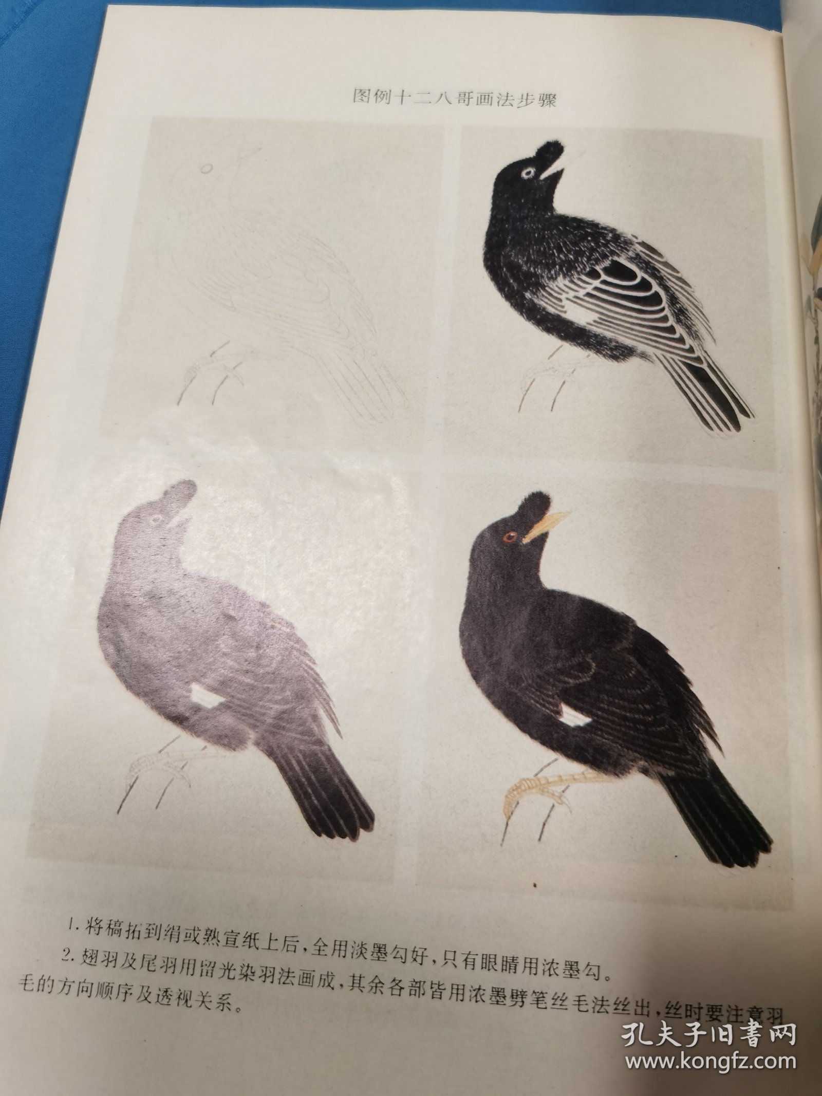 工笔禽鸟画法