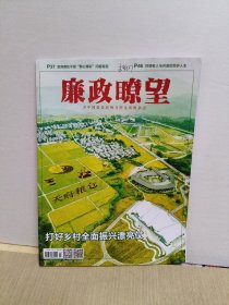 廉政瞭望2024年第7期 （打好乡村全面振兴漂亮仗)