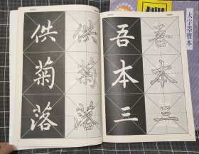 大字墨宝本--赵孟頫寿春堂记临习技法 柳公权玄秘塔碑临习技法（两本）