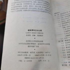 越轨青年文化比较