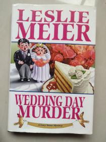 WEDDING DAY MURDER (A LUCY STONE MYSTERY)  结婚日新郎离奇死亡-----