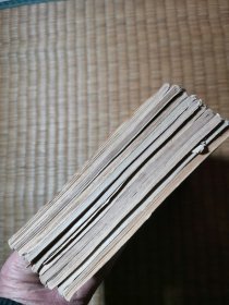 小学语文阅读文库第七辑全10册【第一册选墙报委员.第二册小骑兵.第三册野葡萄.第四册落难荒岛.第五册百鸡宴活捉座山雕，第六册我们和爱尔莎一家，第七册：小小的金项链，第八册鄂温克人与火的故事，第九册布克的奇遇.第十册石门寨！