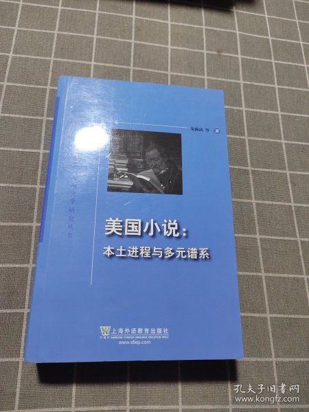 美国小说：本土进程与多元谱系/外教社外国文学研究丛书