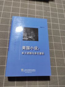 美国小说：本土进程与多元谱系/外教社外国文学研究丛书