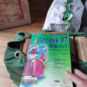 中文版Access 97 轻松入门