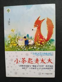 全球儿童文学典藏书系（升级版）：小茶匙老太太