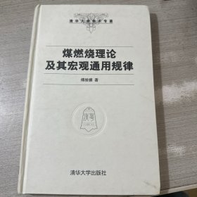 煤燃烧理论及其宏观通用规律