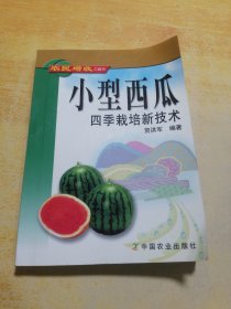 小型西瓜四季栽培新技术